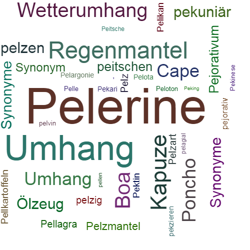 Ein anderes Wort für Pelerine - Synonym Pelerine