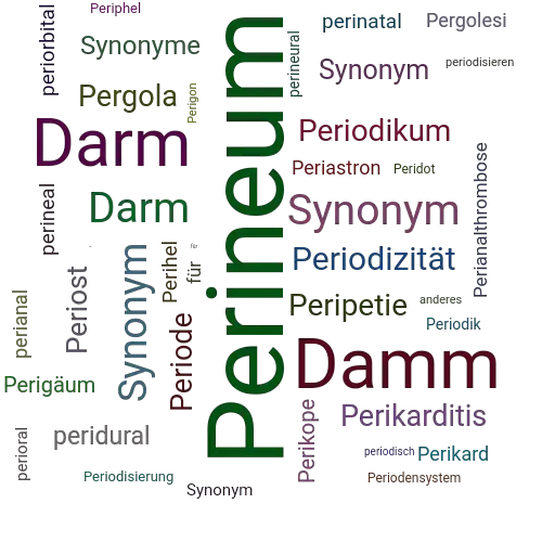 Ein anderes Wort für Perineum - Synonym Perineum