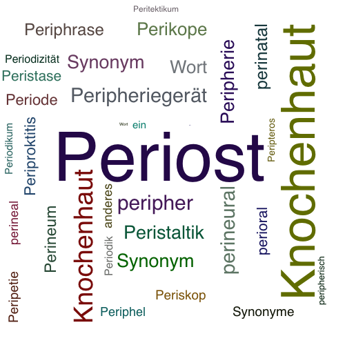 Ein anderes Wort für Periost - Synonym Periost