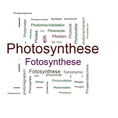Ein anderes Wort für Photosynthese - Synonym Photosynthese