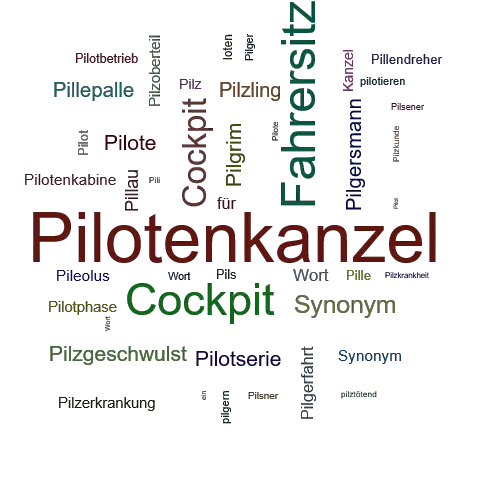 Ein anderes Wort für Pilotenkanzel - Synonym Pilotenkanzel