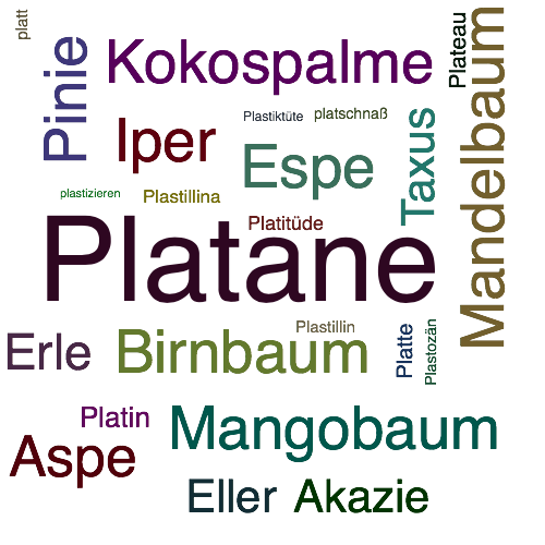 Ein anderes Wort für Platane - Synonym Platane