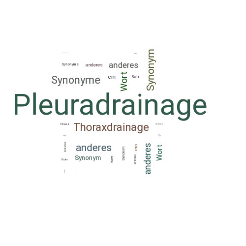Ein anderes Wort für Pleuradrainage - Synonym Pleuradrainage