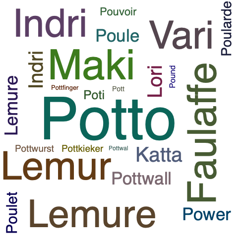 Ein anderes Wort für Potto - Synonym Potto