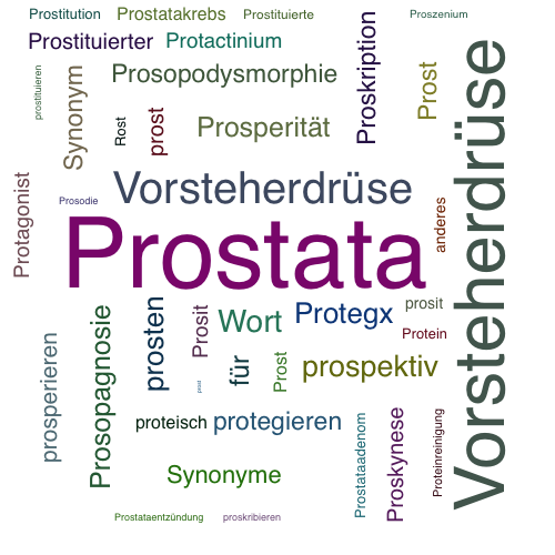 Ein anderes Wort für Prostata - Synonym Prostata