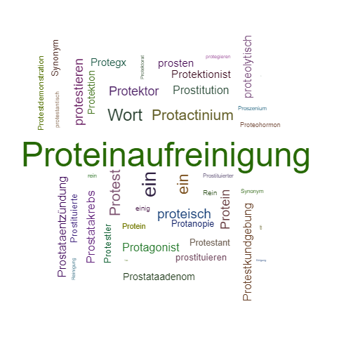 Ein anderes Wort für Proteinreinigung - Synonym Proteinreinigung