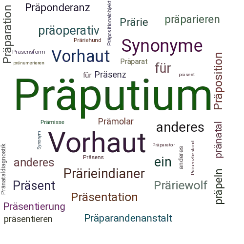 Ein anderes Wort für Präputium - Synonym Präputium