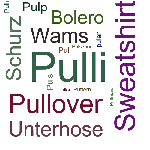 Ein anderes Wort für Pulli - Synonym Pulli