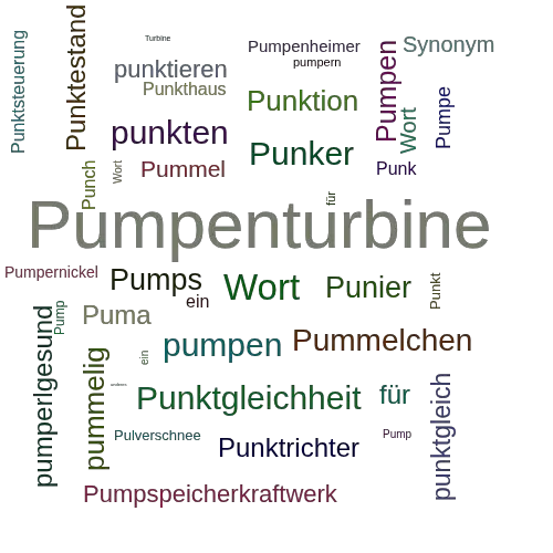Ein anderes Wort für Pumpturbine - Synonym Pumpturbine