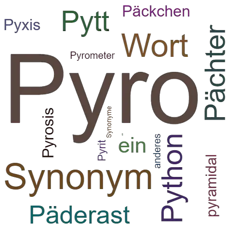 Ein anderes Wort für Pyro - Synonym Pyro