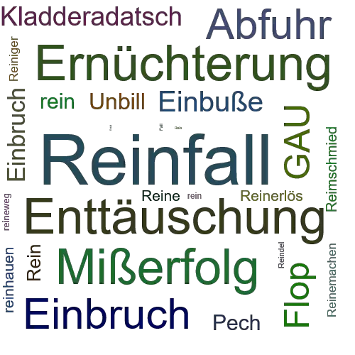 Ein anderes Wort für Reinfall - Synonym Reinfall