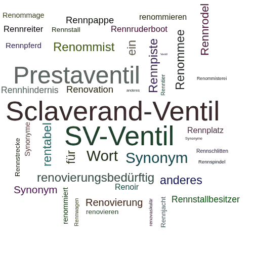 Ein anderes Wort für Rennventil - Synonym Rennventil
