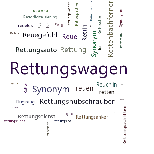 Ein anderes Wort für Rettungsflugzeug - Synonym Rettungsflugzeug