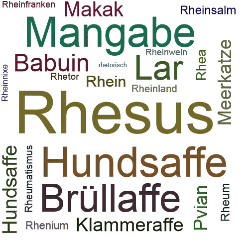 Ein anderes Wort für Rhesus - Synonym Rhesus