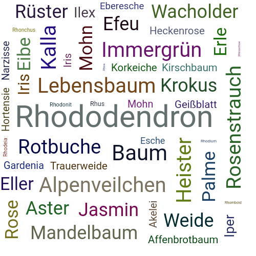 Ein anderes Wort für Rhododendron - Synonym Rhododendron