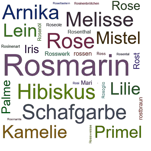 Ein anderes Wort für Rosmarin - Synonym Rosmarin