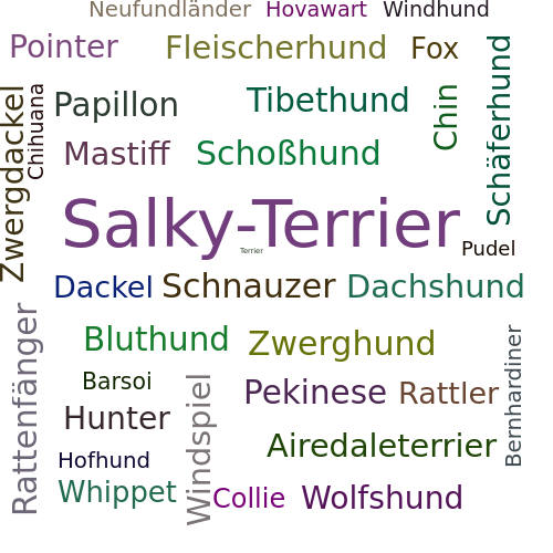 Ein anderes Wort für Salky-Terrier - Synonym Salky-Terrier