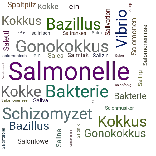 Ein anderes Wort für Salmonelle - Synonym Salmonelle