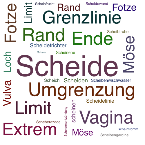 Ein anderes Wort für Scheide - Synonym Scheide