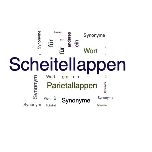 Ein anderes Wort für Scheitellappen - Synonym Scheitellappen