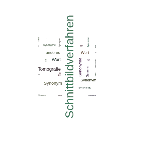 Ein anderes Wort für Schnittbildverfahren - Synonym Schnittbildverfahren