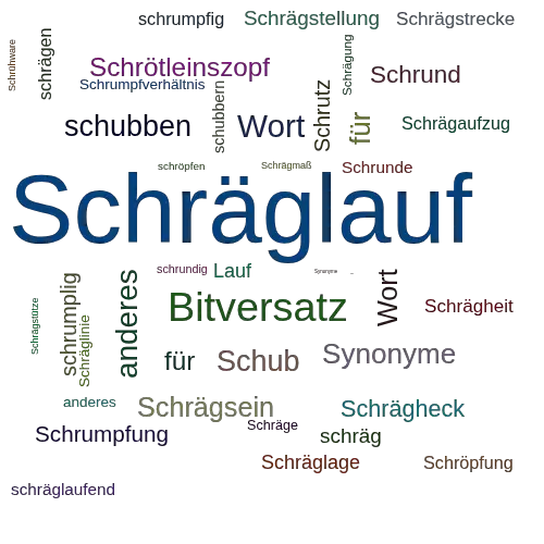 Ein anderes Wort für Schräglauf - Synonym Schräglauf