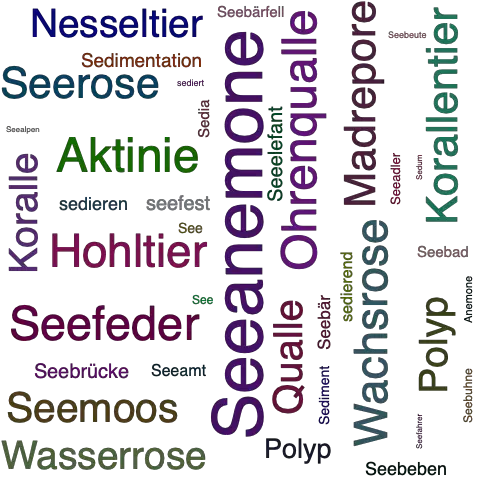 Ein anderes Wort für Seeanemone - Synonym Seeanemone