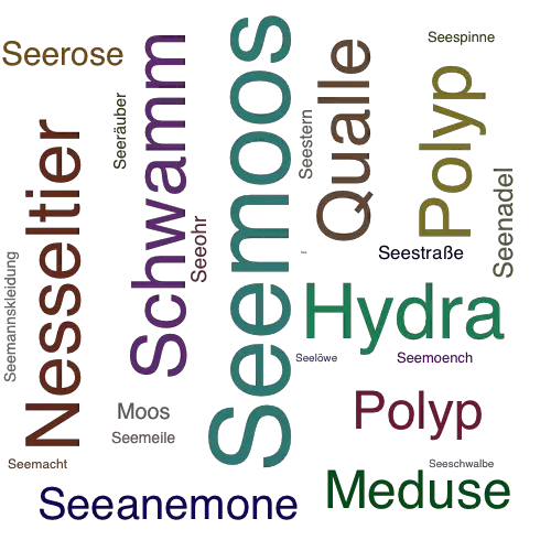 Ein anderes Wort für Seemoos - Synonym Seemoos