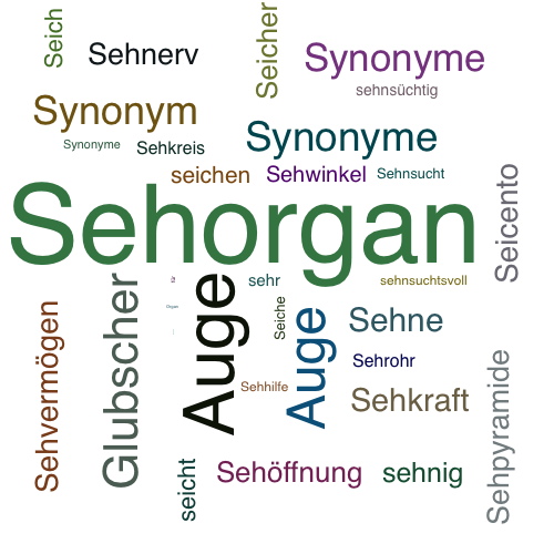 Ein anderes Wort für Sehorgan - Synonym Sehorgan