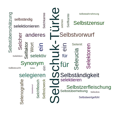 Ein anderes Wort für Seldschuke - Synonym Seldschuke