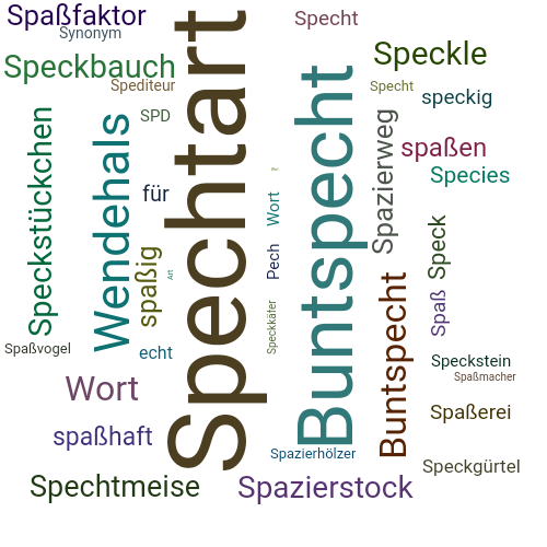 Ein anderes Wort für Spechtart - Synonym Spechtart