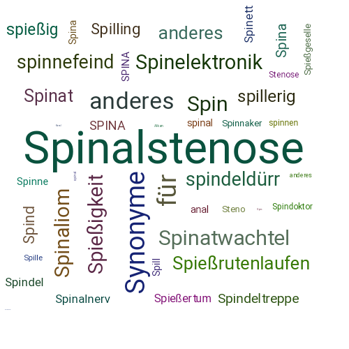 Ein anderes Wort für Spinalkanalstenose - Synonym Spinalkanalstenose