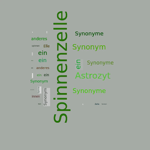 Ein anderes Wort für Spinnenzelle - Synonym Spinnenzelle