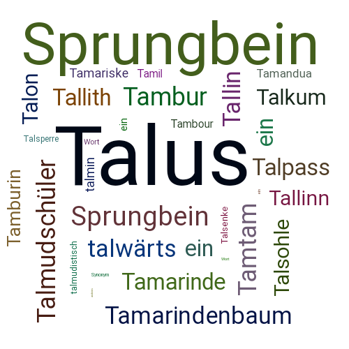 Ein anderes Wort für Talus - Synonym Talus