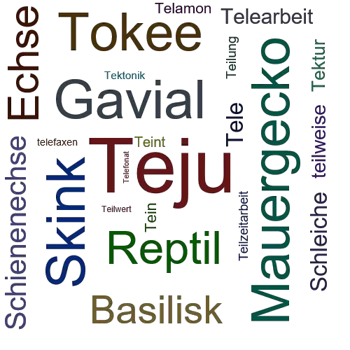 Ein anderes Wort für Teju - Synonym Teju