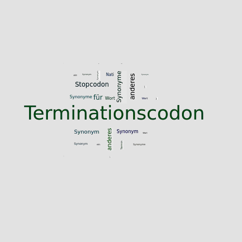 Ein anderes Wort für Terminationscodon - Synonym Terminationscodon