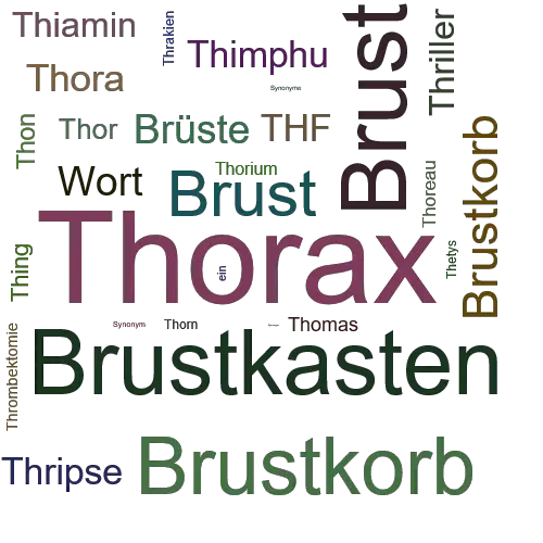 Ein anderes Wort für Thorax - Synonym Thorax