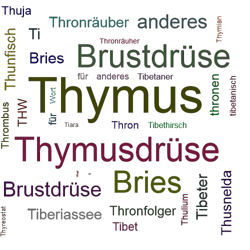 Ein anderes Wort für Thymus - Synonym Thymus
