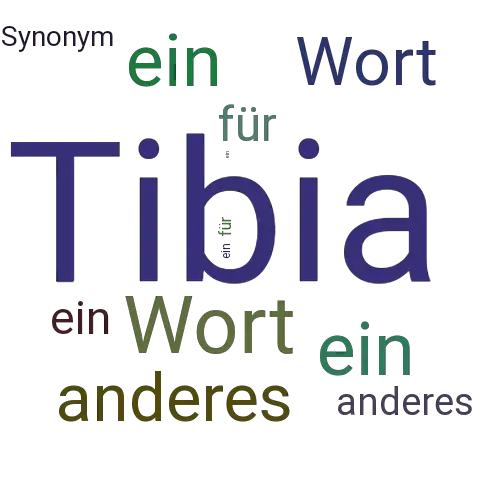Ein anderes Wort für Tibia - Synonym Tibia