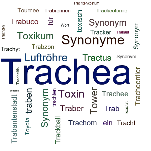 Ein anderes Wort für Trachea - Synonym Trachea