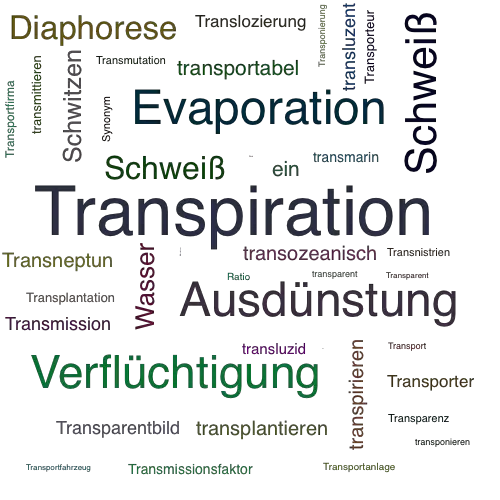 Ein anderes Wort für Transpiration - Synonym Transpiration