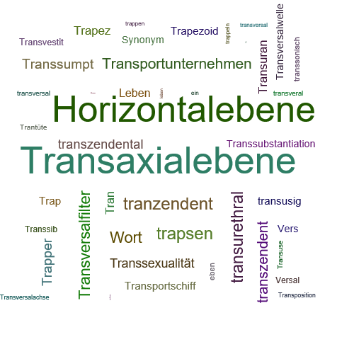 Ein anderes Wort für Transversalebene - Synonym Transversalebene