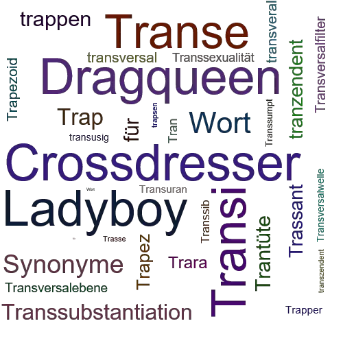 Ein anderes Wort für Transvestit - Synonym Transvestit