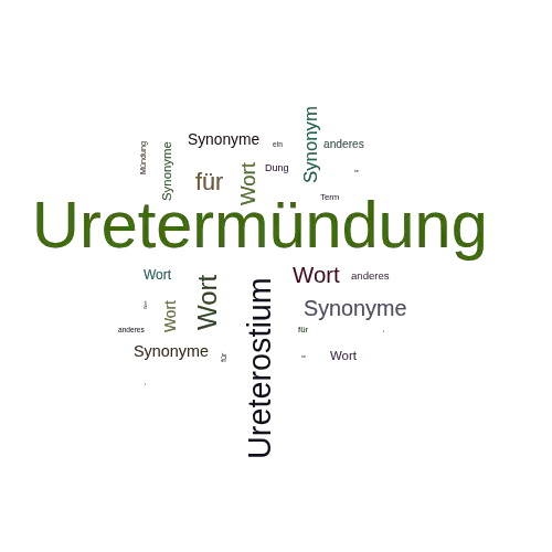 Ein anderes Wort für Uretermündung - Synonym Uretermündung