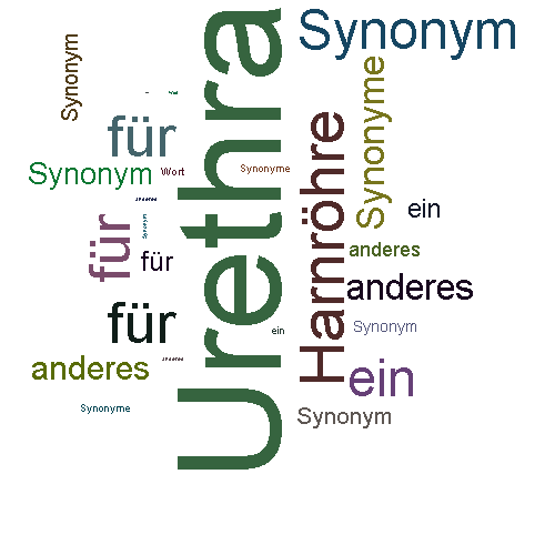 Ein anderes Wort für Urethra - Synonym Urethra