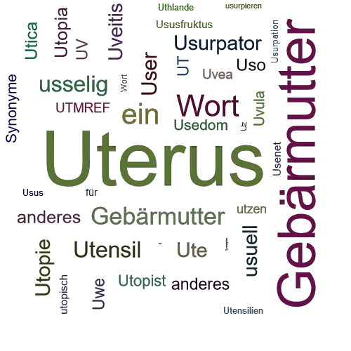 Ein anderes Wort für Uterus - Synonym Uterus