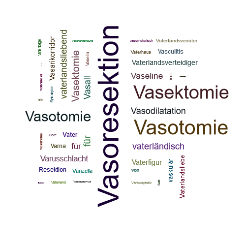 Ein anderes Wort für Vasoresektion - Synonym Vasoresektion