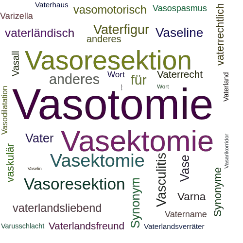 Ein anderes Wort für Vasotomie - Synonym Vasotomie