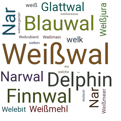 Ein anderes Wort für Weißwal - Synonym Weißwal
