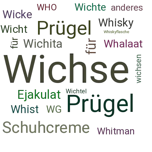 Ein anderes Wort für Wichse - Synonym Wichse